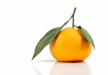 Similar image 931286