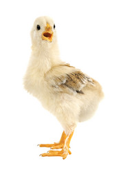 Similar image 931373