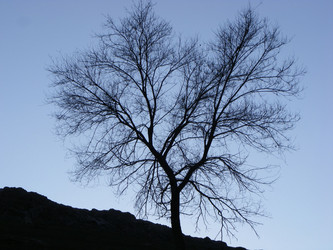 Similar image 931475