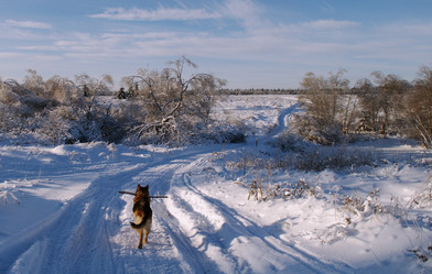 Similar image 1000171