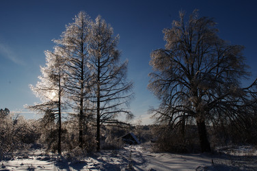 Similar image 1000173