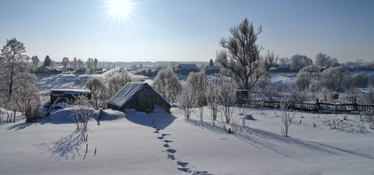 Similar image 1000175