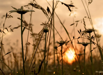 Similar image 1000177