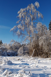 Similar image 1000178