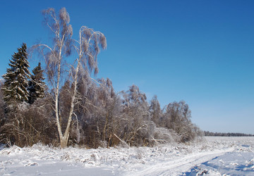 Similar image 1000179