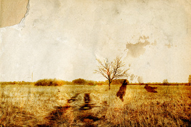 Similar image 1000190