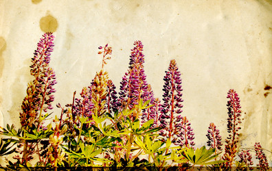 Similar image 1000195