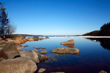 Similar image 1000231