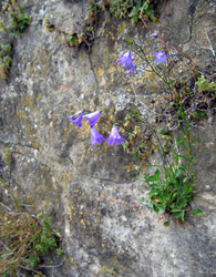 Similar image 1000232