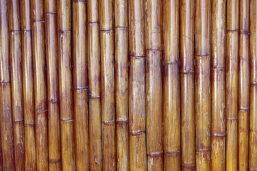 Similar image 1000239