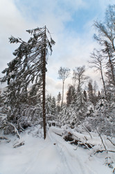 Similar image 1000244