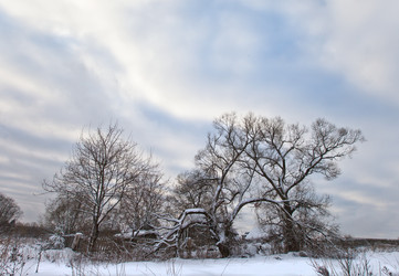 Similar image 1000245