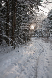 Similar image 1000251