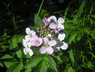 Similar image 1000336