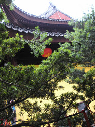 Similar image 1000358