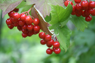 Similar image 1000384