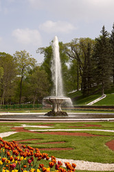 Similar image 1000403