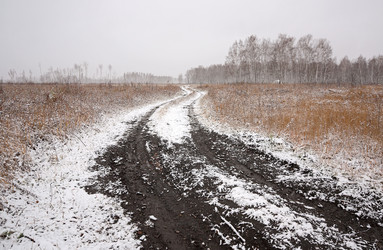 Similar image 1000412