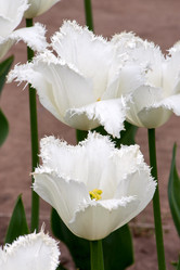 Similar image 1000429