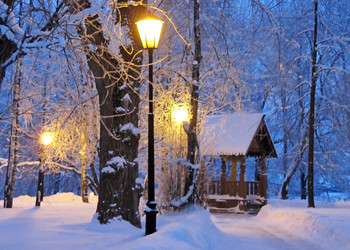 Similar image 1000490