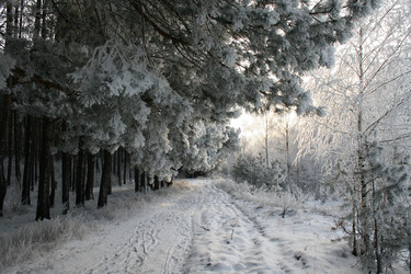 Similar image 1000526