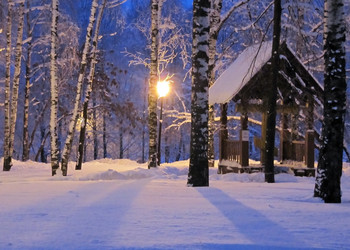 Similar image 1000586