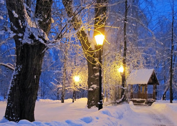 Similar image 1000588