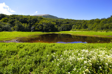 Similar image 1000595