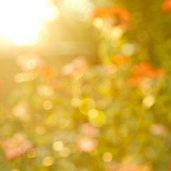 Similar image 1000747