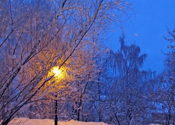 Similar image 1000792