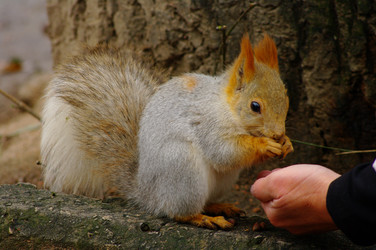 Similar image 1000852