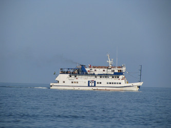 Similar image 1000856