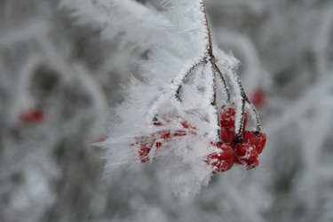 Similar image 1000861