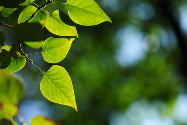 Similar image 1000881