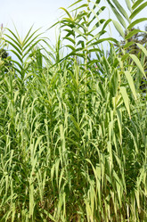 Similar image 1000902