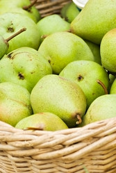 Similar image 1000986