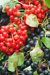 Similar image 1000993