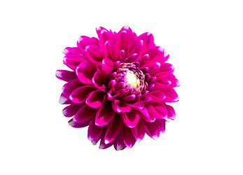 Similar image 1001024