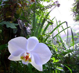 Similar image 1001033