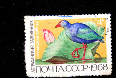 Similar image 1001045