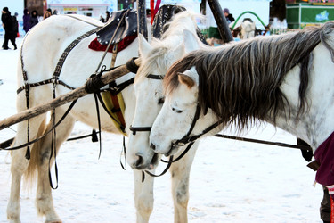 Similar image 1001077