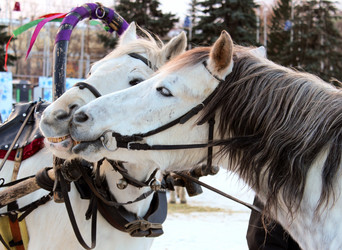 Similar image 1001081