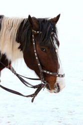 Similar image 1001085