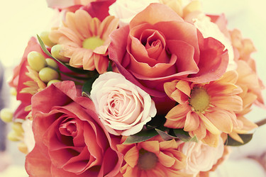 Similar image 1001333