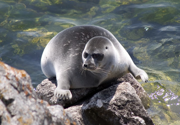 Similar image 1001397