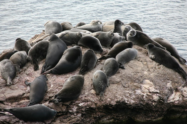 Similar image 1001408