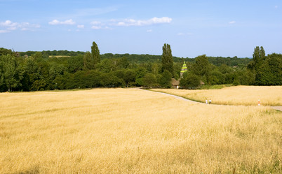 Similar image 1001443