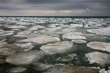 Similar image 1001479