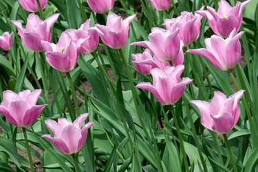 Similar image 1001539