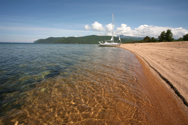 Similar image 1001556